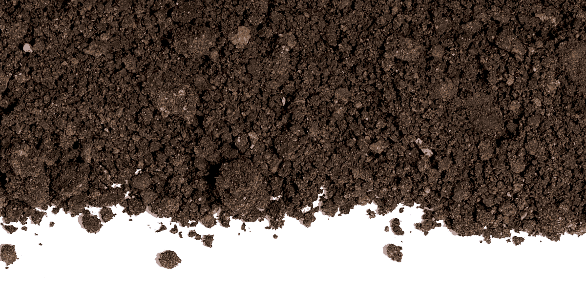 La terra nera alluvionale di Manduria